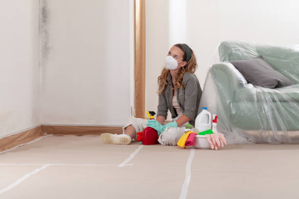 Reliable Commercial Mold Remediation contractor in Marysville, MI by Mold Remediation HQ